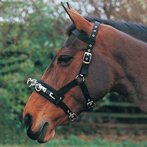 Equi-Prene Lunge Cavesson