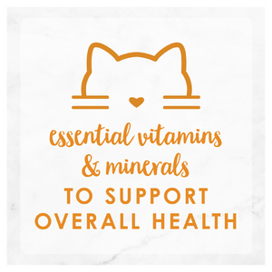 Fancy Feast Variety Delights with Cheddar Grilled Collection Wet Cat Food