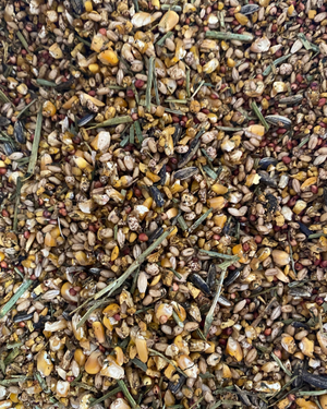 Farmbies Premium Layer Mash