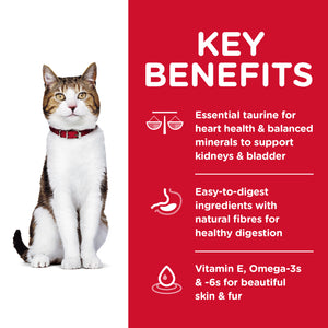 Hills Science Diet Adult Cat 7+ Dry Food