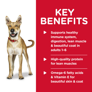 Hills Science Diet Adult Beef and Barley Wet Dog Food