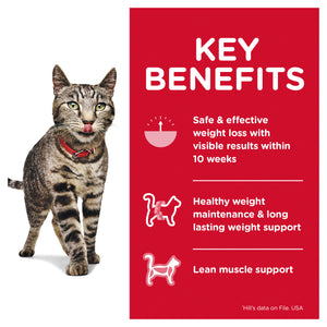 Hills Science Diet Adult Perfect Weight Salmon Pouch Wet Cat Food