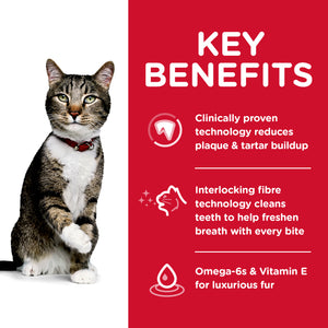 Hills Science Diet Specialty Adult Cat Oral Care Dry Food