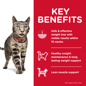Hills Science Diet Specialty Adult Cat Perfect Weight Dry Food