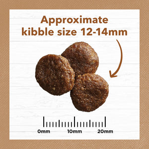 Ivory Coat Grain Free Adult Lamb And Kangaroo Dry Dog Food