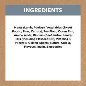 Ivory Coat Grain Free Lamb and Sardine Wet Dog Food