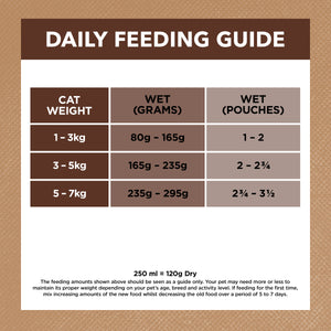 Ivory Coat Grain Free Adult Cat Chicken and Kangaroo in Gravy Wet Cat Food