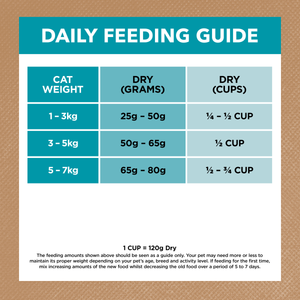 Ivory Coat Grain Free Adult Cat Ocean Fish and Salmon Dry Food
