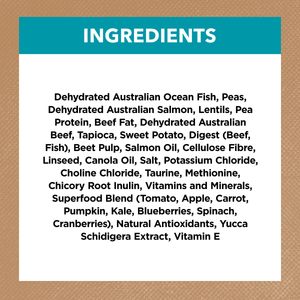 Ivory Coat Grain Free Adult Cat Ocean Fish and Salmon Dry Food