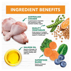 Ivory Coat Grain Free Adult Chicken with Coconut Oil Dry Dog Food