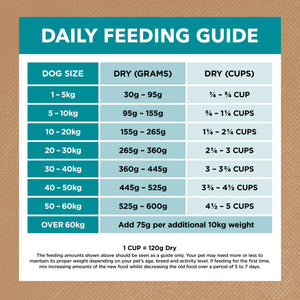 Ivory Coat Grain Free Adult Ocean Fish and Salmon Dry Dog Food