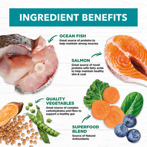 Ivory Coat Grain Free Adult Ocean Fish and Salmon Dry Dog Food