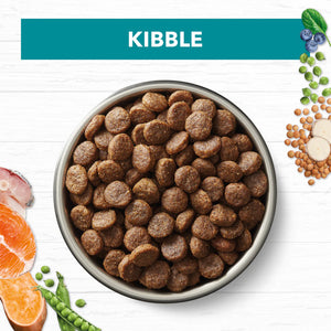 Ivory Coat Grain Free Adult Ocean Fish and Salmon Dry Dog Food
