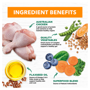 Ivory Coat Grain Free Chicken Stew with Coconut Oil Wet Dog Food
