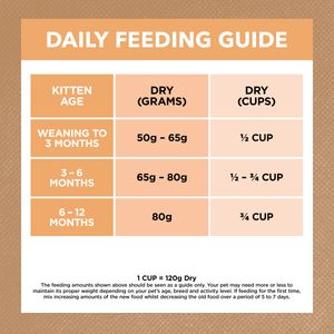 Ivory Coat Grain Free Kitten Chicken Dry Food