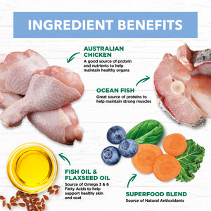 Ivory Coat Grain Free Kitten Chicken and Ocean Fish in Jelly Wet Cat Food