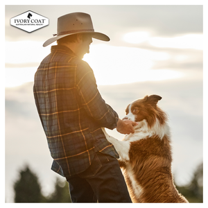 Ivory Coat Grain Free Chicken Stew with Coconut Oil Wet Dog Food