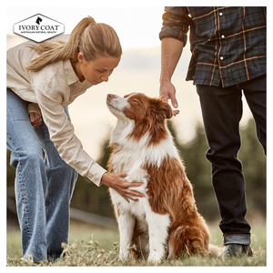 Ivory Coat Grain Free Adult Chicken with Coconut Oil Dry Dog Food