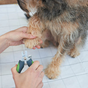 Kazoo Deluxe Nail Clipper