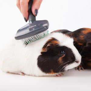 Kazoo Small Animal Slicker Brush
