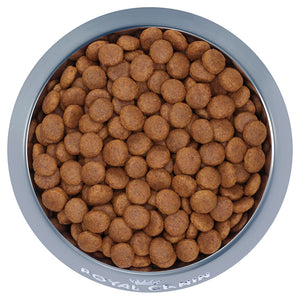 Royal Canin Medium Adult 7 Plus Dry Dog Food