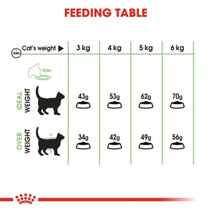 Royal Canin Cat Digestive Care Dry Food