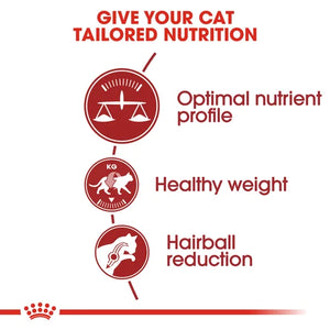 Royal Canin Cat Fit Dry Food