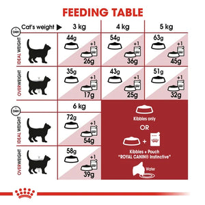 Royal Canin Cat Fit Dry Food