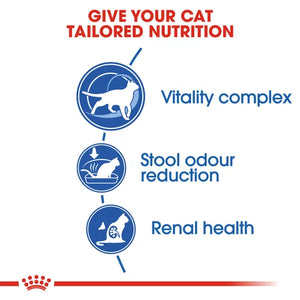 Royal Canin Cat Indoor 7+ Dry Food