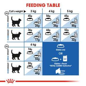 Royal Canin Cat Indoor Dry Food