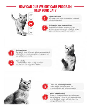 Royal Canin Cat Light Weight Care Dry Food
