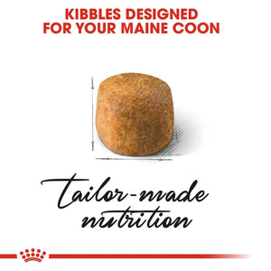 Royal Canin Cat Maine Coon Dry Food