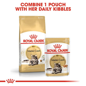 Royal Canin Cat Maine Coon Dry Food