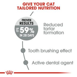 Royal Canin Cat Dental Care Dry Food