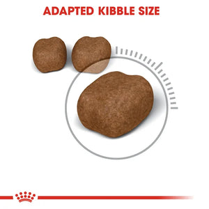 Royal Canin Cat Dental Care Dry Food