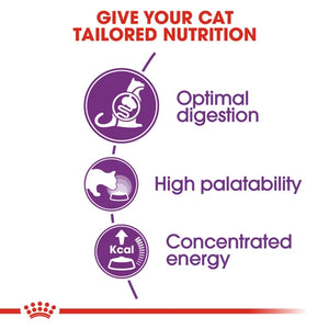 Royal Canin Cat Sensible Dry Food
