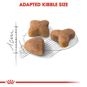 Royal Canin Cat Sensible Dry Food
