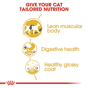 Royal Canin Cat Siamese Dry Food