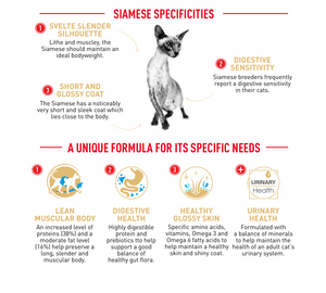 Royal Canin Cat Siamese Dry Food