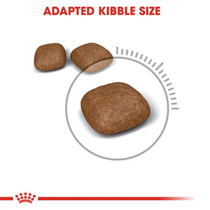 Royal Canin Cat Urinary Care Dry Food