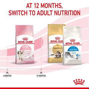 Royal Canin Kitten Dry Food