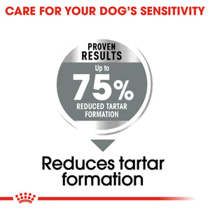 Royal Canin Maxi Dental Care Adult Dry Dog Food