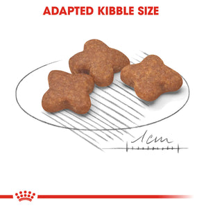 Royal Canin Mini Adult 8 Plus Dry Dog Food