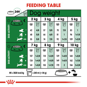 Royal Canin Mini Ageing 12 Plus Senior Dry Dog Food
