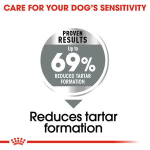 Royal Canin Mini Dental Care Adult Dry Dog Food