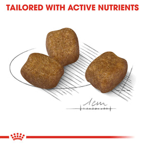 Royal Canin Mini Dental Care Adult Dry Dog Food