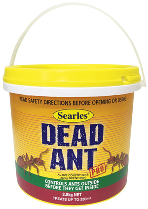 Searles Dead Ant