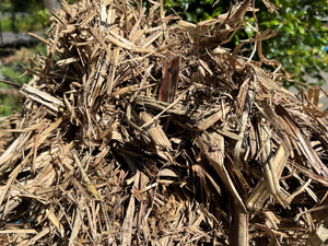 sugar cane mulch