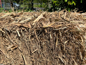 sugar cane mulch