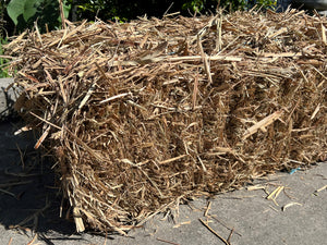 sugar cane mulch